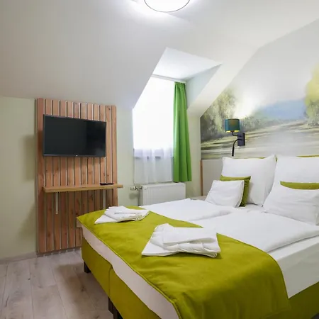 Panzio Guest house *